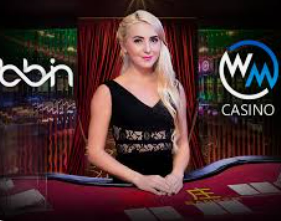 6686下载2024最新版